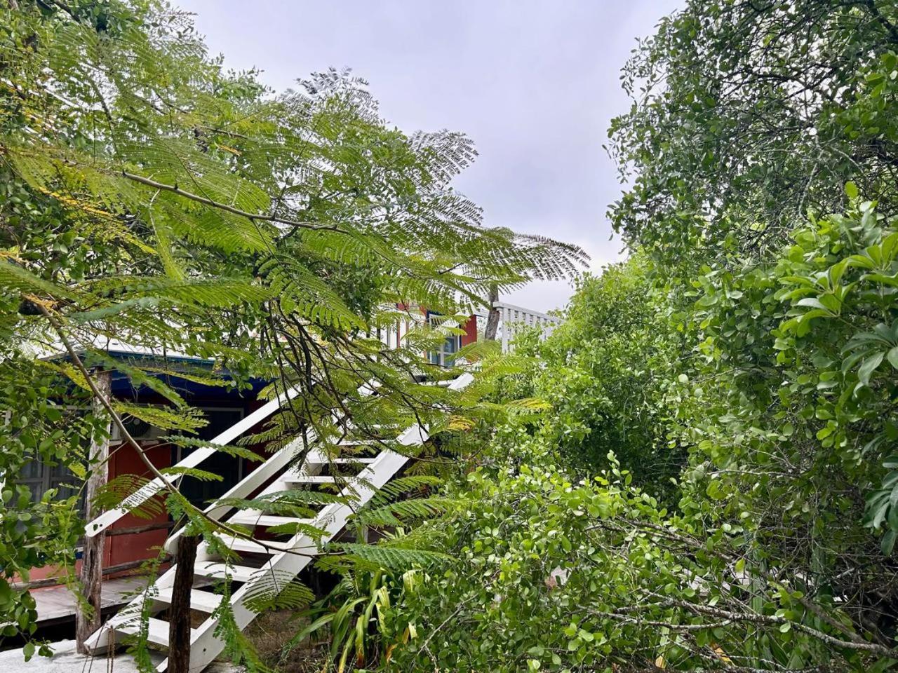Casa Kubler Bed & Breakfast Puerto Ayora  Dış mekan fotoğraf